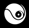 Court Vision Logo